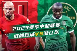 皮囊蔡崇达读后感