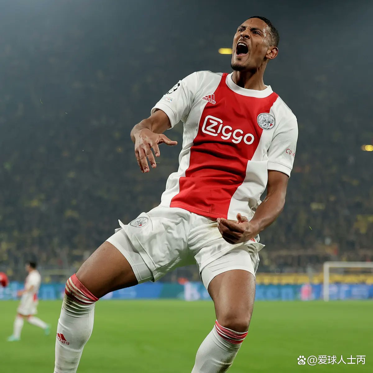 北京首钢外援最新动态